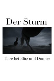 Der Sturm – Tiere bei Blitz und Donner