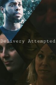 Delivery Attempted