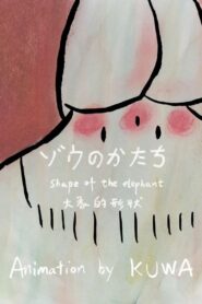 Shape of the Elephant