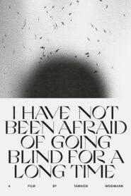 I HAVE NOT BEEN AFRAID OF GOING BLIND FOR A LONG TIME