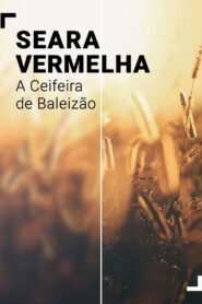 Seara Vermelha – A Ceifeira de Baleizão