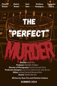 The “Perfect” Murder