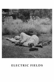 Electric Fields