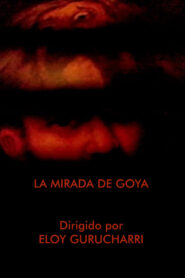 Goya’s Gaze