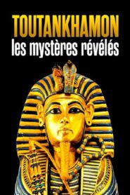 Toutankhamon les mystères révélés