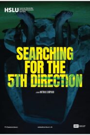 Searching for the 5th Direction