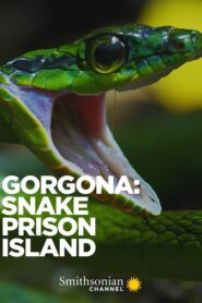 Gorgona: Snake Prison Island