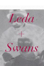 Leda + Swans