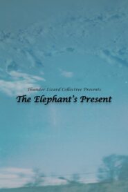 The Elephant’s Present