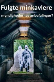 Fulgte minkavlere myndighedernes anbefalinger?