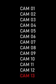 CAM 13