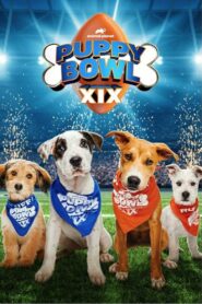 Puppy Bowl XIX