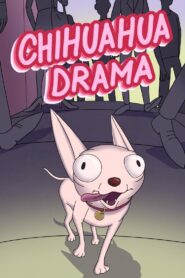 Chihuahua Drama