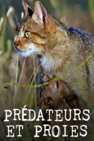 Prédateurs et proies – La faune de la péninsule Ibérique