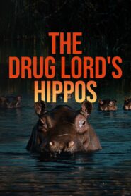 The Drug Lord’s Hippos