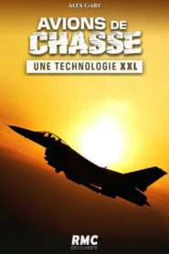 Avions de chasse : une technologie XXL