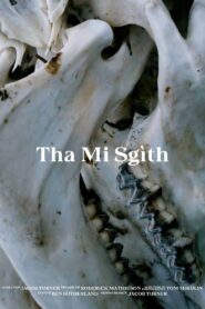 Tha Mi Sgìth