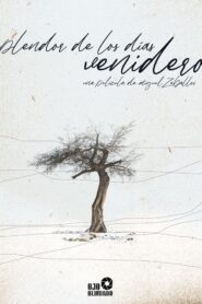 Esplendor de los días venideros