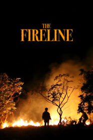 The Fireline