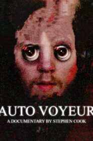 Auto Voyeur