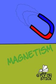 Magnetism