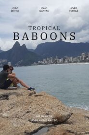 Tropical baboons