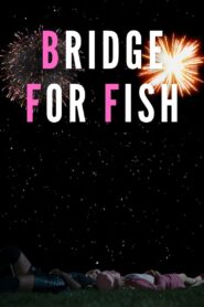 Bridge For Fish