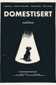 Domestisert