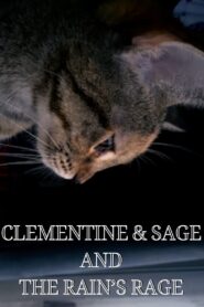 Clementine & Sage and The Rain’s Rage