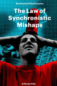 The Law of Synchronistic Mishaps