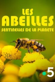 Les abeilles, sentinelles de la planète