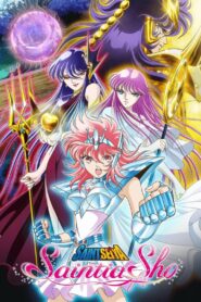 Saint Seiya: Saintia Sho