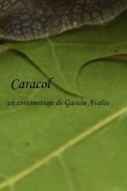 Caracol