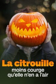 La citrouille, moins courge qu’elle n’en a l’air