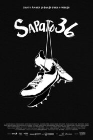 Sapato 36