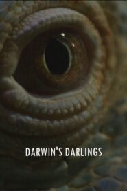 Darwin’s Darlings