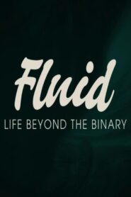 Fluid: Life Beyond the Binary