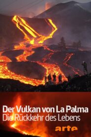 Der Vulkan von La Palma – Die Rückkehr des Lebens