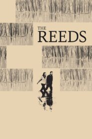 The Reeds