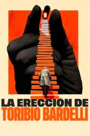 The Erection of Toribio Bardelli