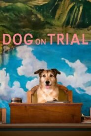 Dog on Trial