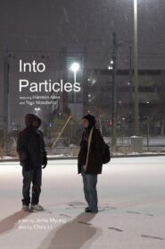 Into Particles