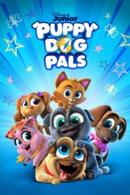 Puppy Dog Pals