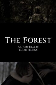 The Forest