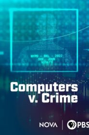 Computers v. Crime