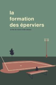 La Formation Des Éperviers