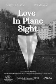 Love in Plane Sight