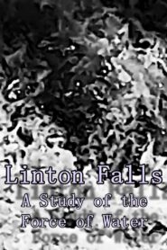 Linton Falls – A Study of the Force of Water