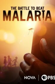 La batalla contra la malaria