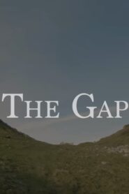 The Gap